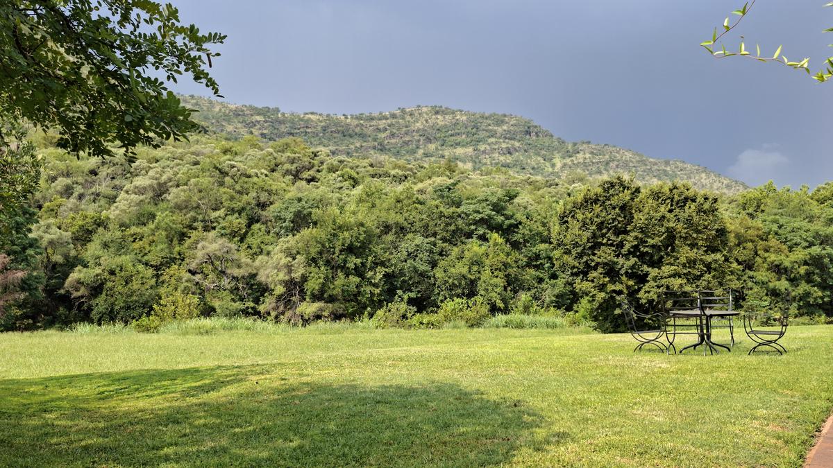Garden with mountain view