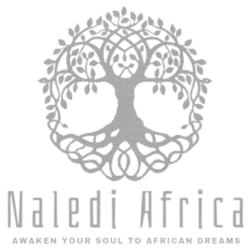 Naledi-Africa